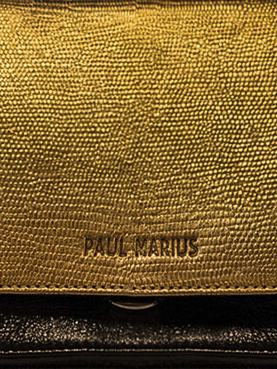 foto-focus-materiaal-tas-bandouliere-goud-leder-zwart-diane-goud-zwart-paul-marius-w35s-l-g-b