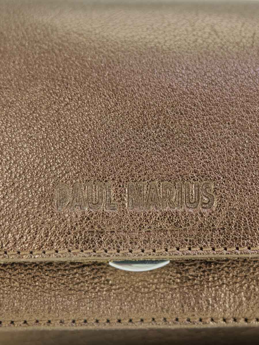 photo-focus-materiaal-mini-tas-bandouliere-leder-metallise-bruin-diane-xs-bruin-paul-marius-w035xs-c