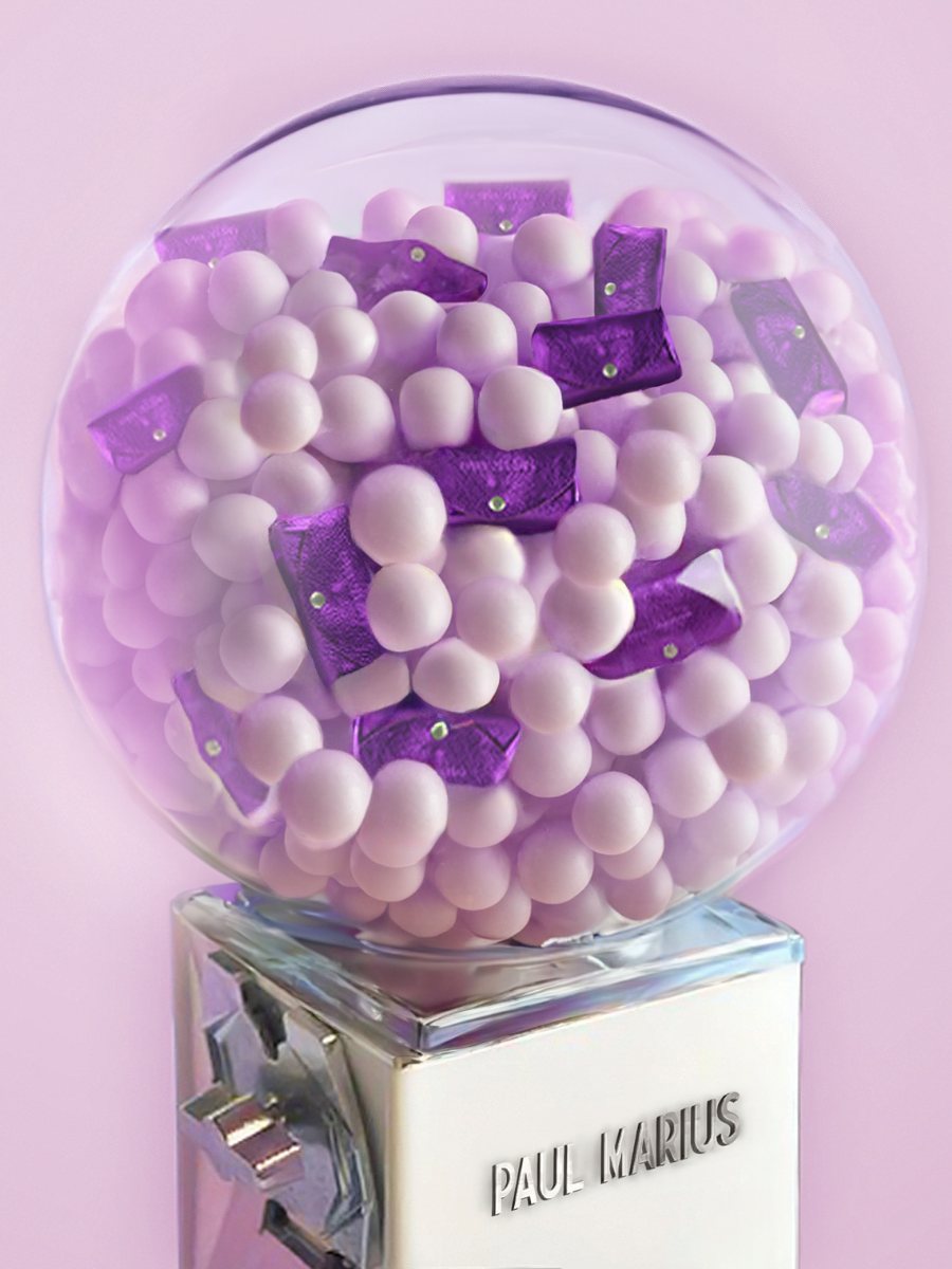 foto-overzicht-portefeuille-lederen-violet-metallic-legustave-bonbon-paul-marius-clp-m-p