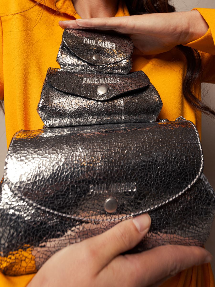 pochette-legustave-m-mir-zilver-view-clpm-mir