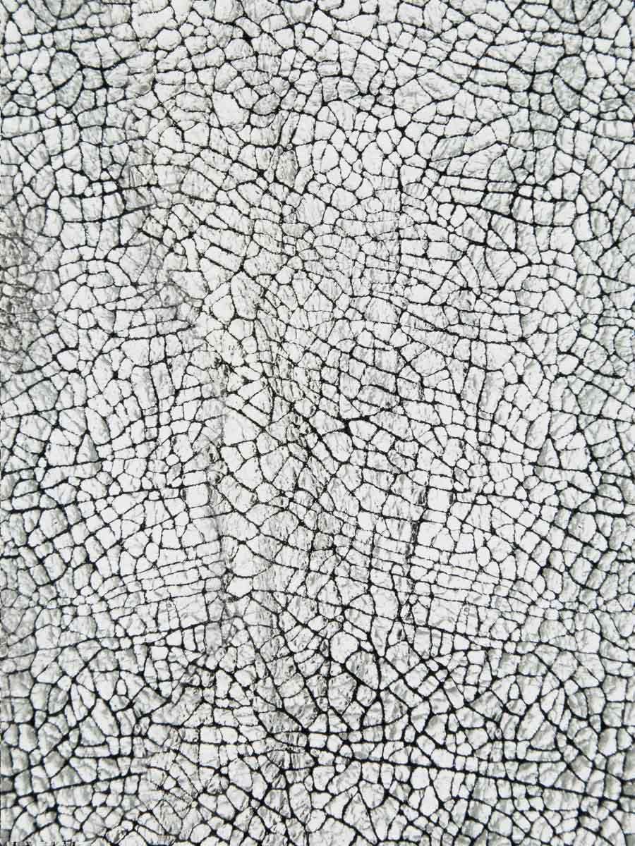 handtas-mademoiselle-GEORGE-MIRROR-SILVER-ZOOM-VIEW-MATERIAL-W05-MIR