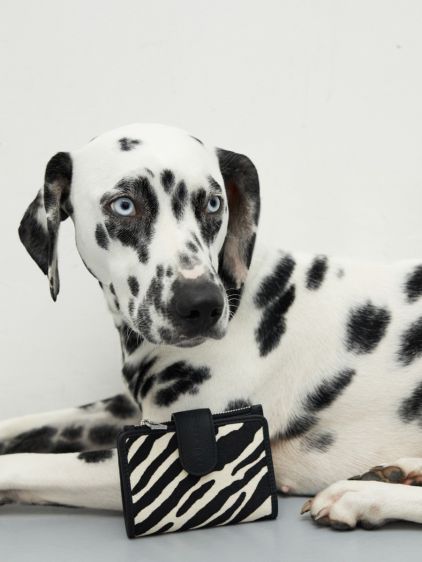 Valentine Tigre - Zwart / Wit