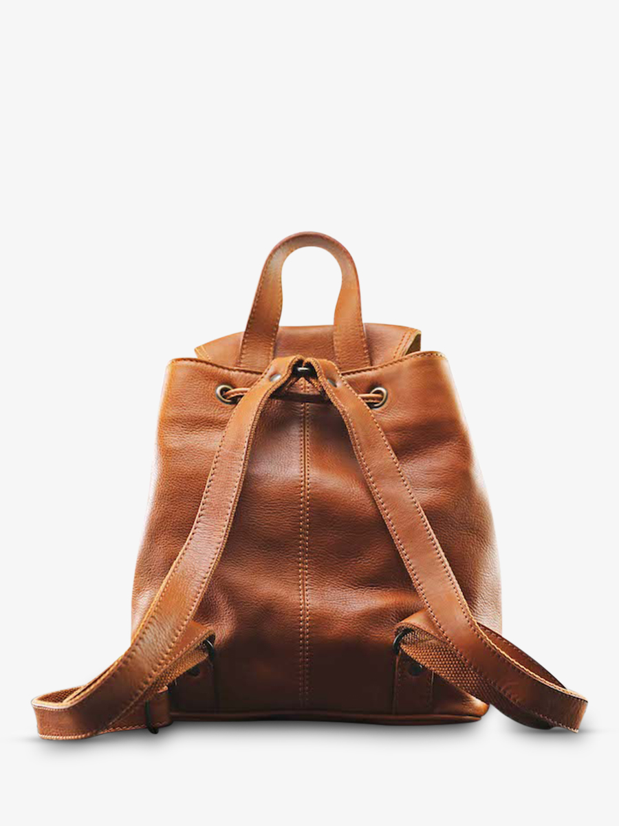 foto-vue-de-dos-sac-a-dos-cuir-femme-marron-violet-lebaroudeur-pampa-naturel-raisin-paul-marius-m39-ol-dr