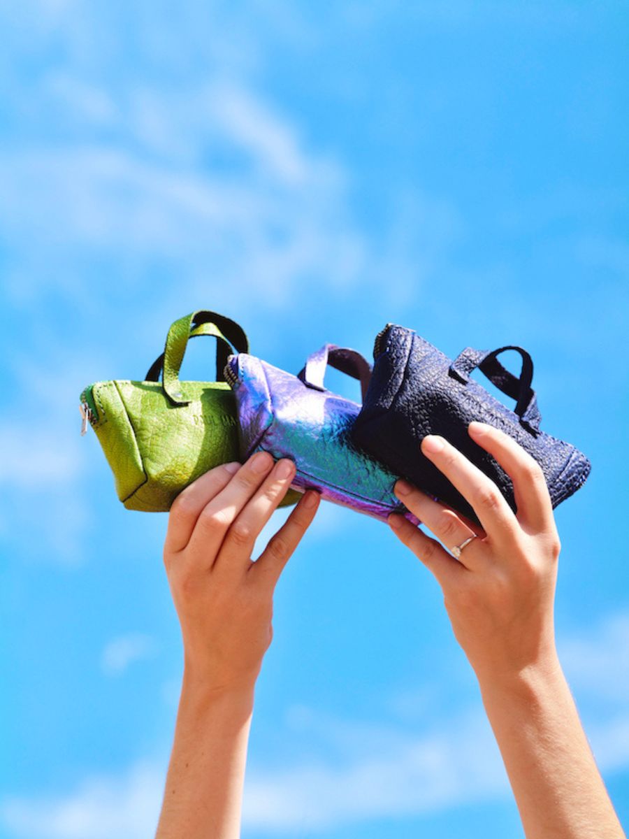 photo-purse-purple-monpremier-paul-marius-scarabee-paul-marius-bbw-p-blu