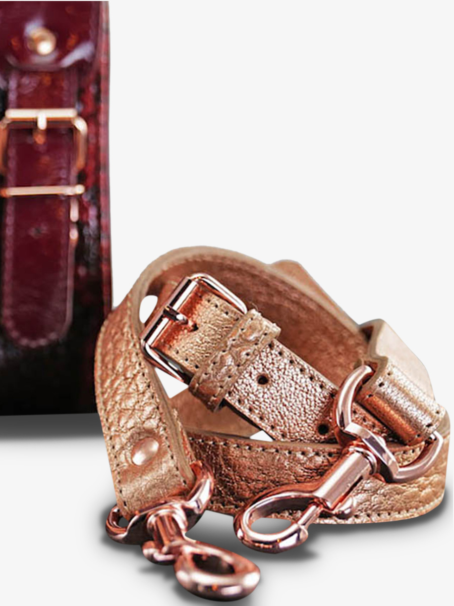 foto-vue-de-dos-sac-bandouliere-cuir-vrouw-links-leren-passie-paul-marius-w01s-pa