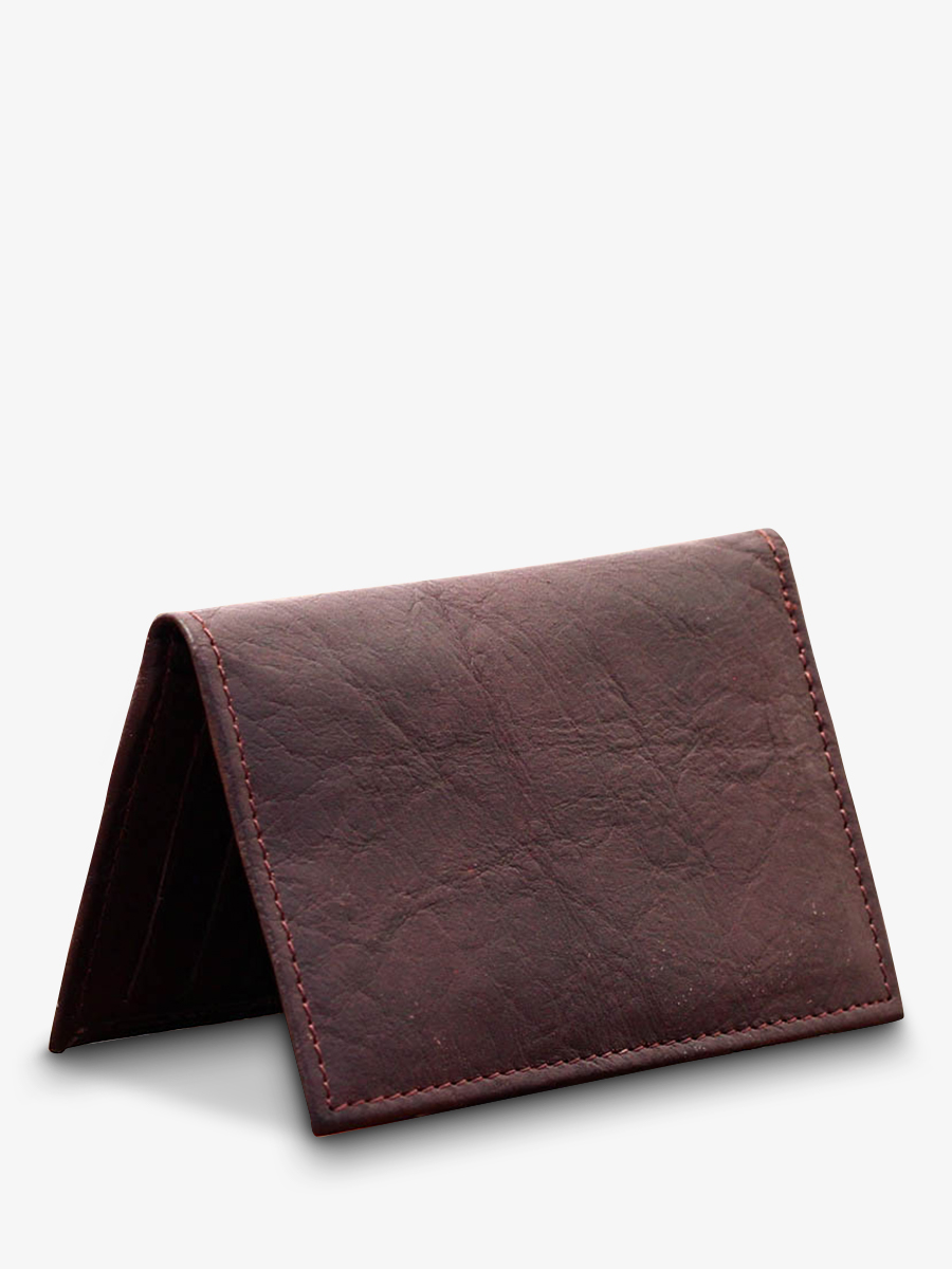 foto-interieur-bankpas-leer-aldo-indus-paul-marius-m80-d