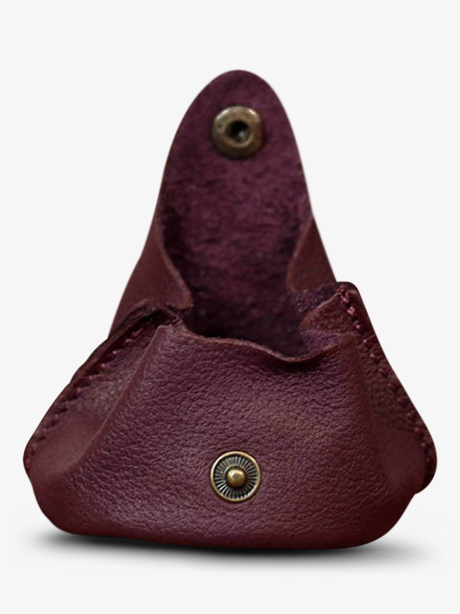 photo-vue-de-dos-purse-cuir-violet-lescarcelle-prune-paul-marius-m56-p