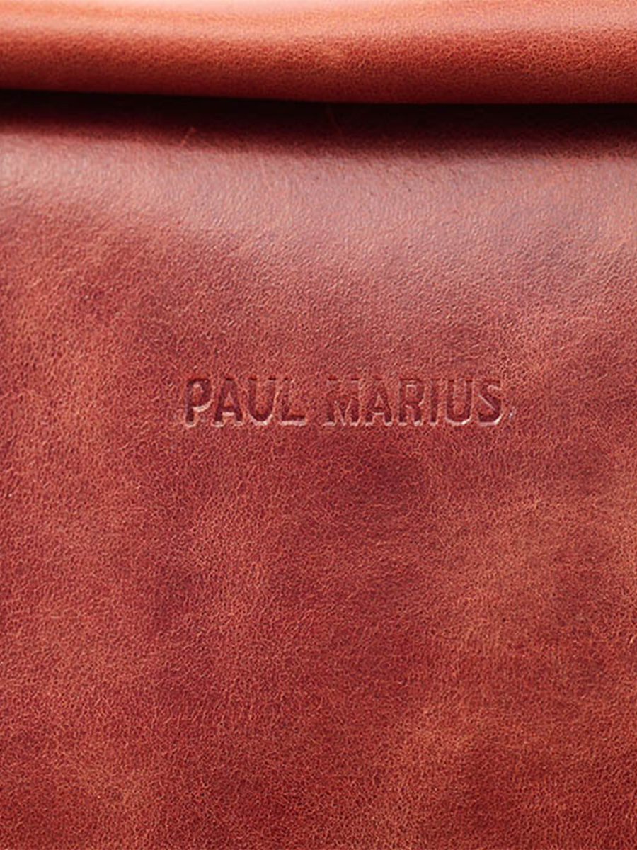 foto-materiaal-tas-computer-bruin-leer-mechanograaf-natuur-paul-marius-m22-l